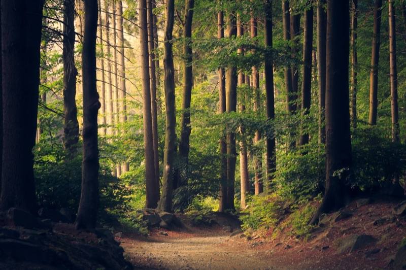 Natur und Outdoor Aktivitäten